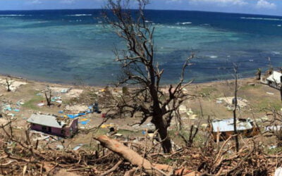 Disaster Recovery and Humanitarian Crises